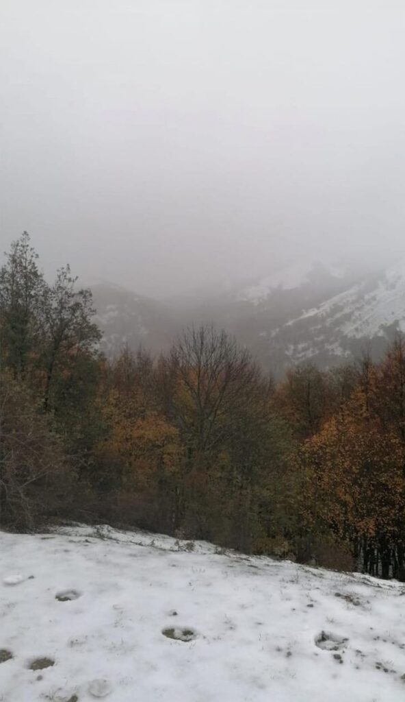 neve monte cervati campania