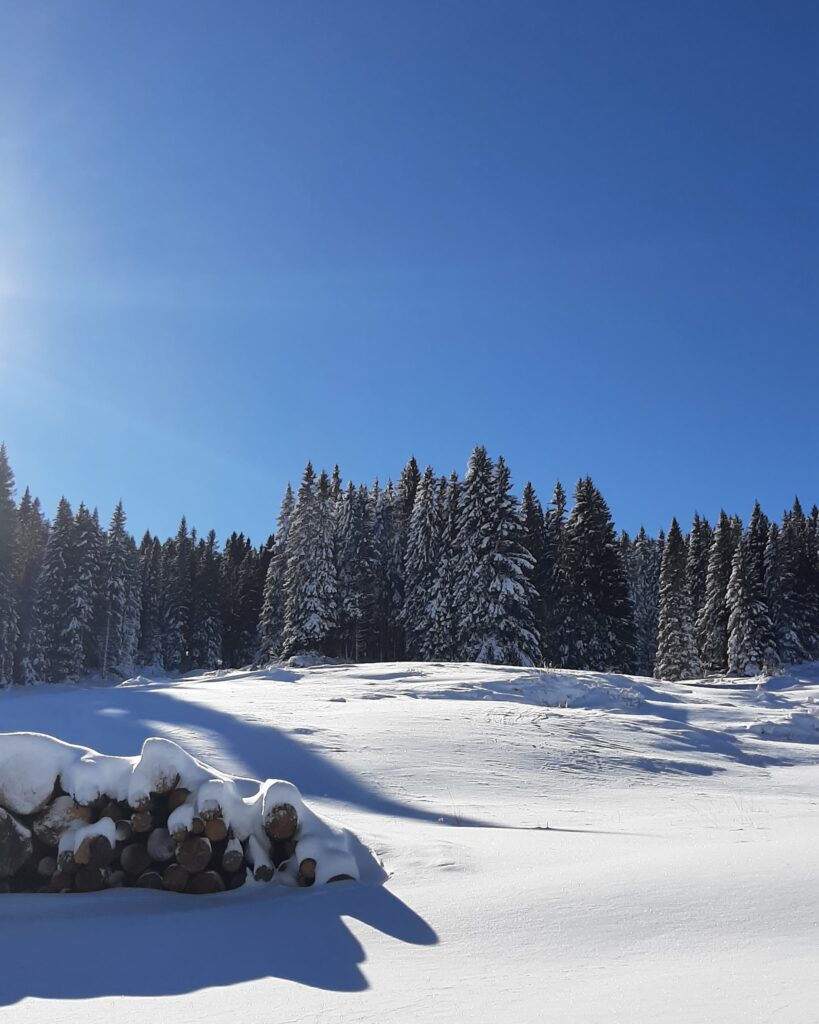 neve rifugio campolongo veneto 2