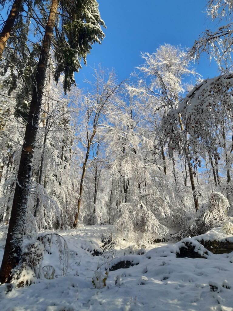 neve val lastaro veneto