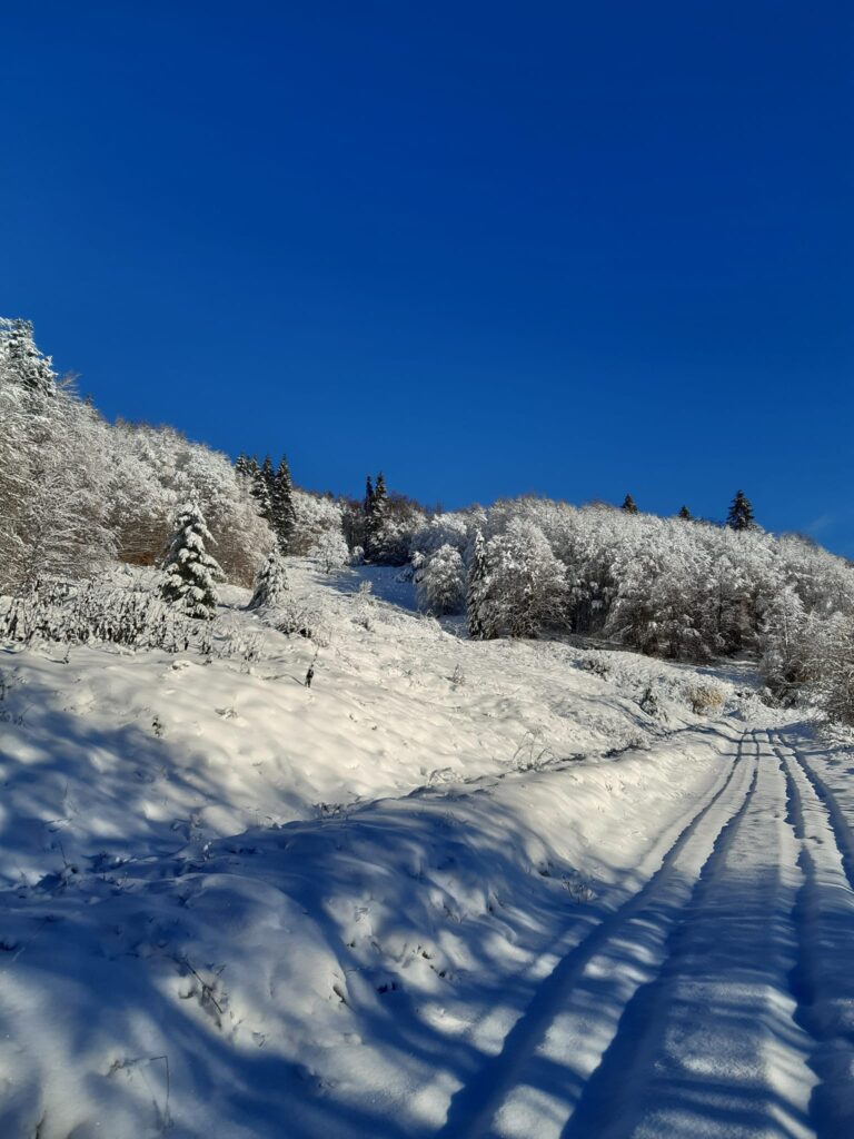 neve val lastaro veneto