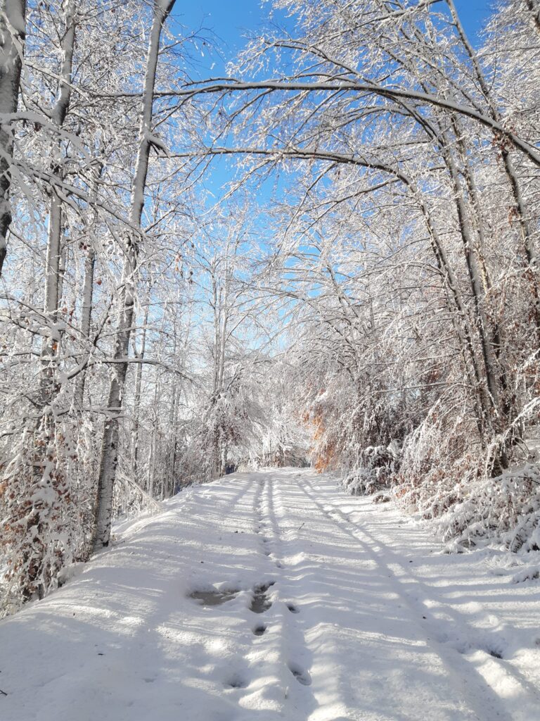 neve val lastaro veneto