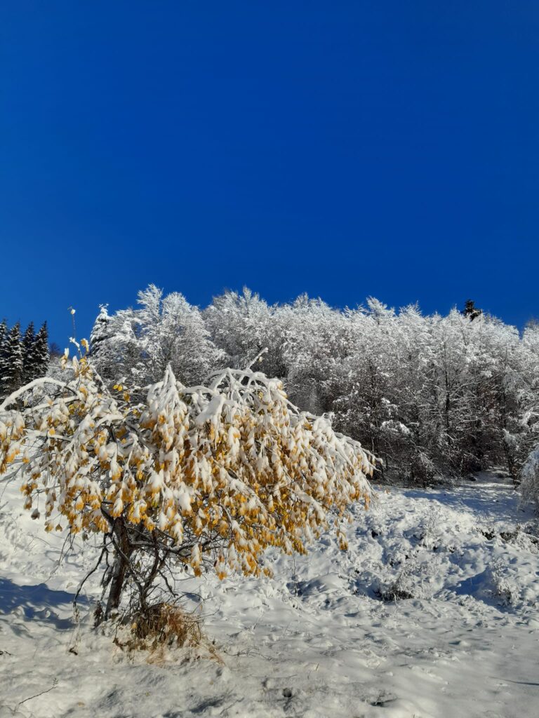neve val lastaro veneto