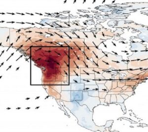 ondata di caldo nord america 2021