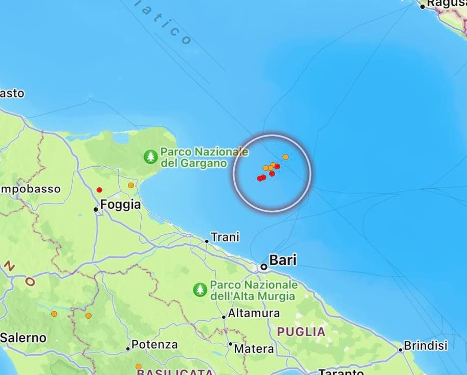 terremoto adriatico 1 novembre