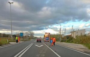 terremoto marche