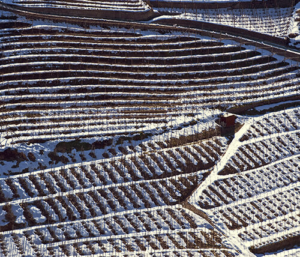 vite clima neve scenari futuri