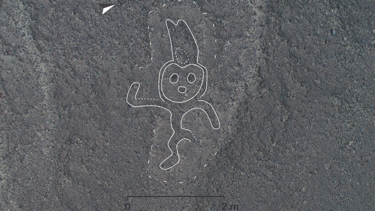 Nuove Linee Nazca geoglifi