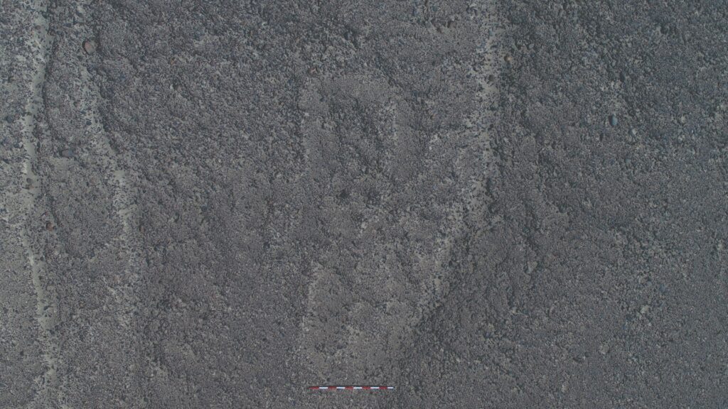 Nuove Linee Nazca geoglifi