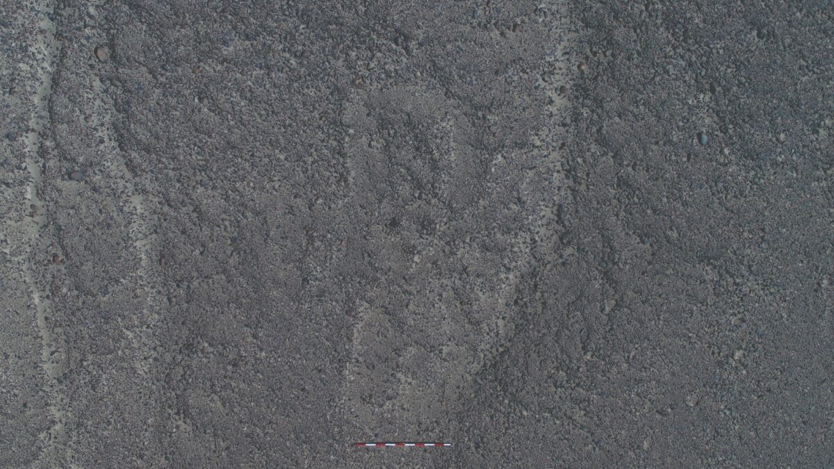 Nuove Linee Nazca geoglifi