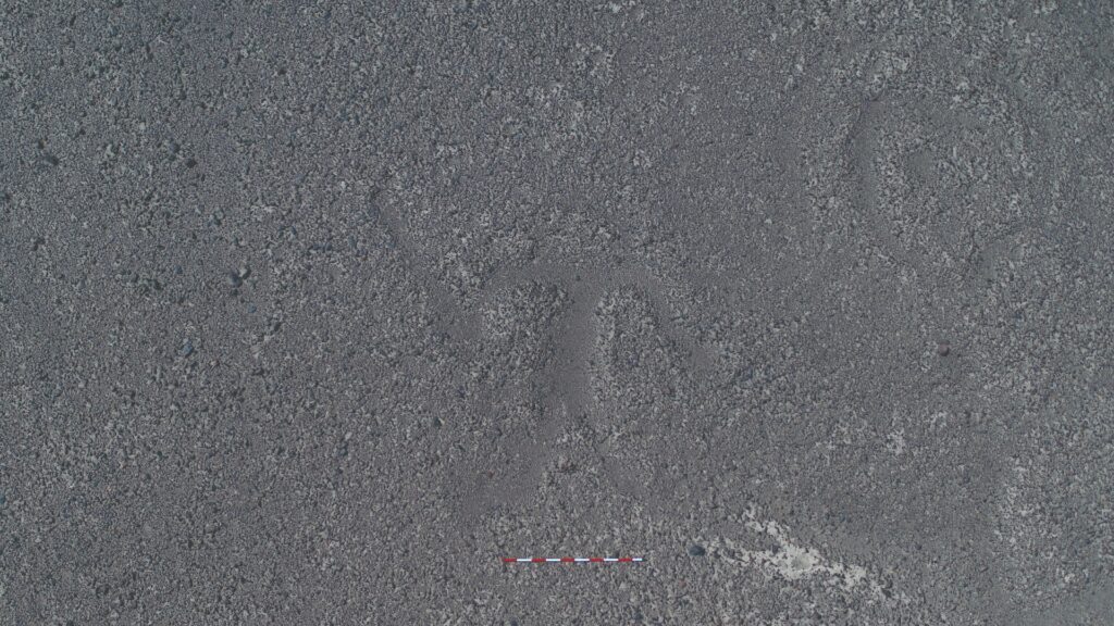 Nuove Linee Nazca geoglifi