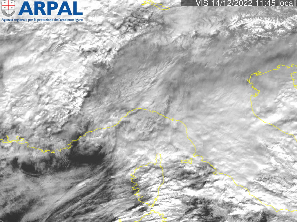 allerta meteo liguria