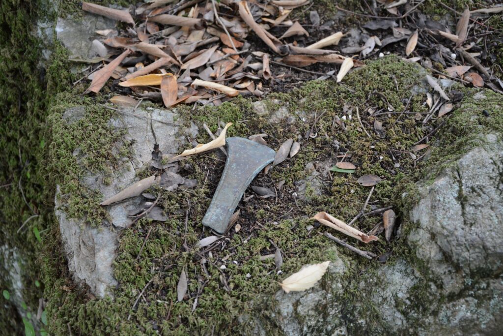 ascia preistorica ritrovata in aspromonte