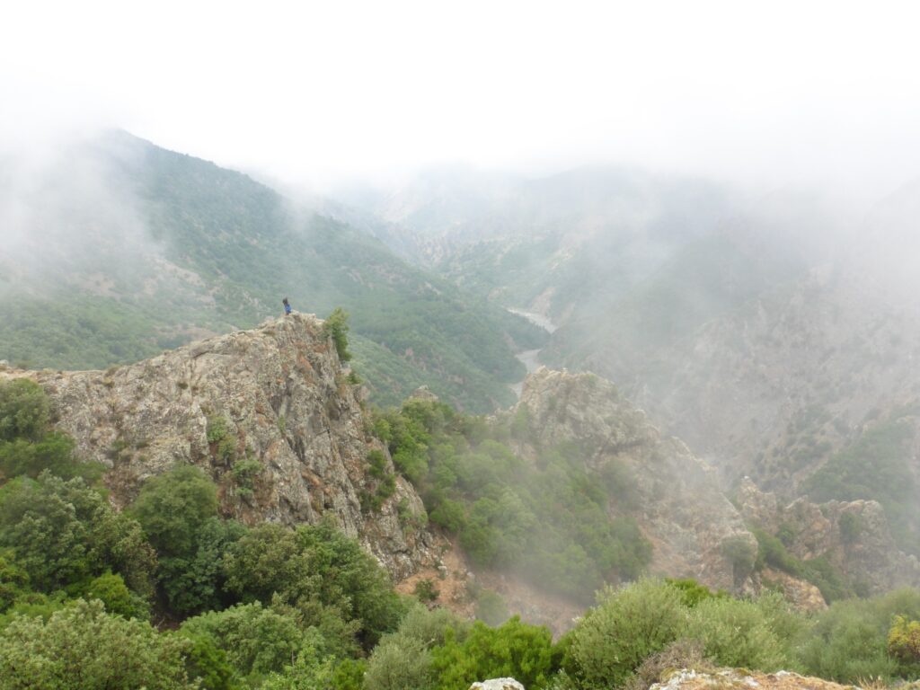 ascia preistorica ritrovata in aspromonte