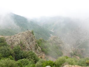 ascia preistorica ritrovata in aspromonte