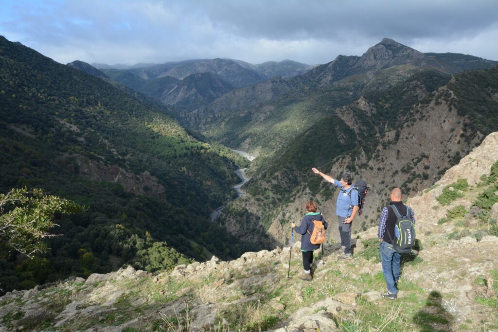ascia preistorica ritrovata in aspromonte