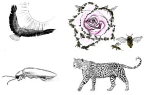 bestiario dante