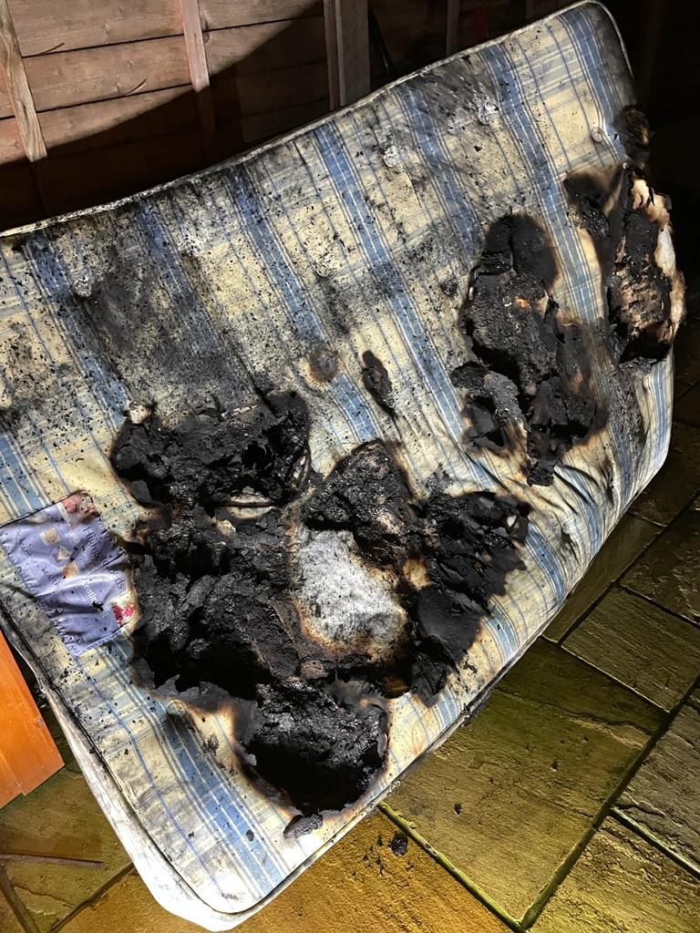 cane incendio Hockley