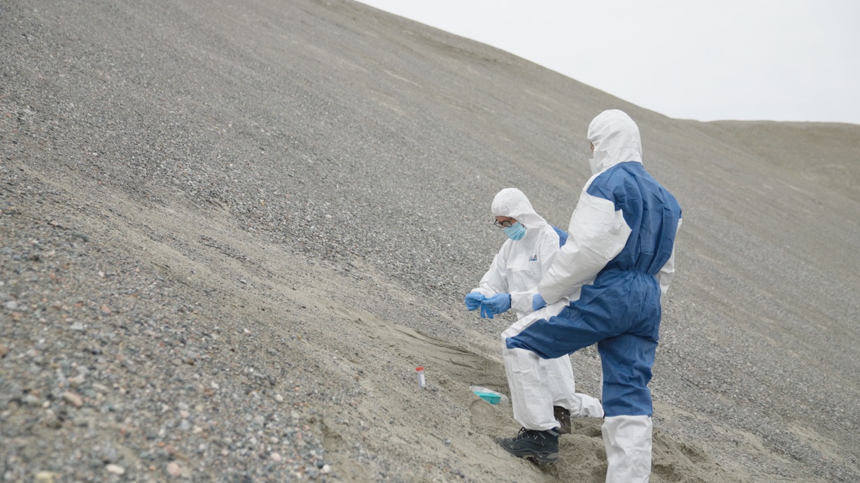 dna più antico groenlandia