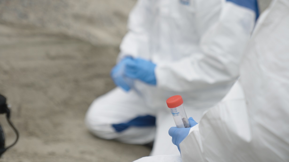 dna più antico groenlandia