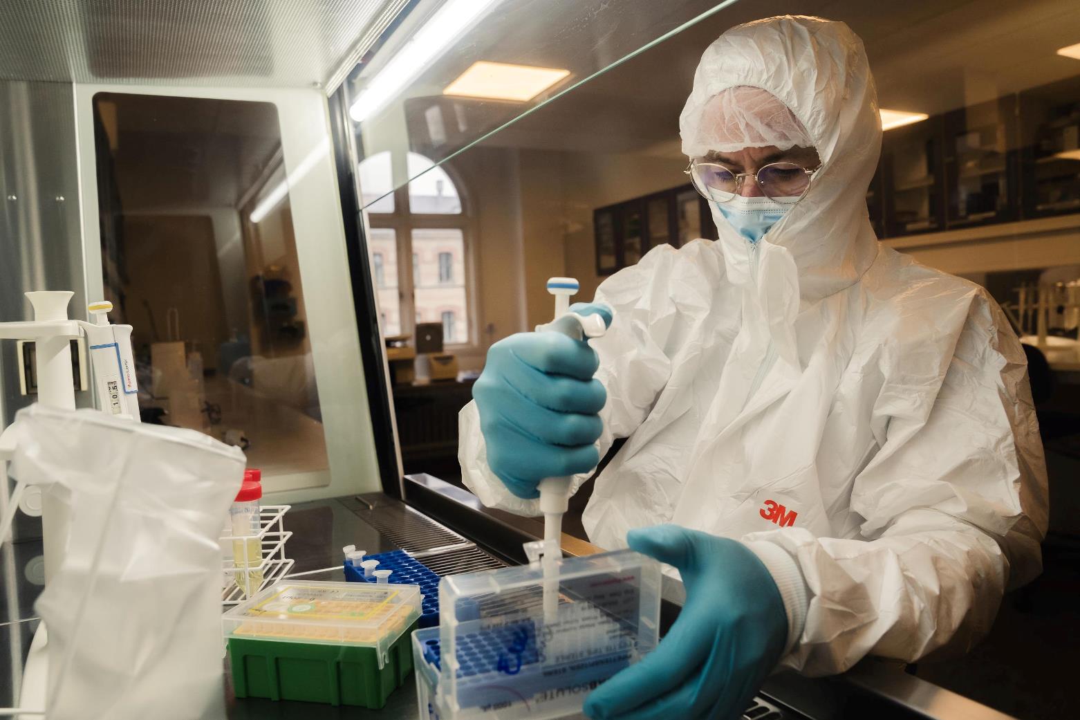 dna più antico groenlandia