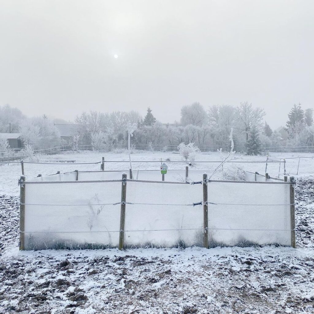 europa gelo polare 18 dicembre 2022