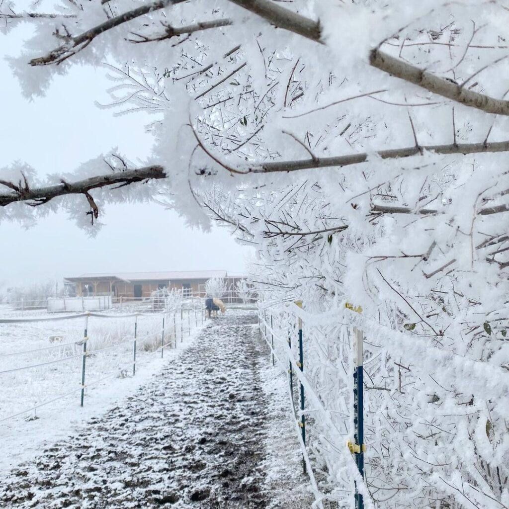 europa gelo polare 18 dicembre 2022