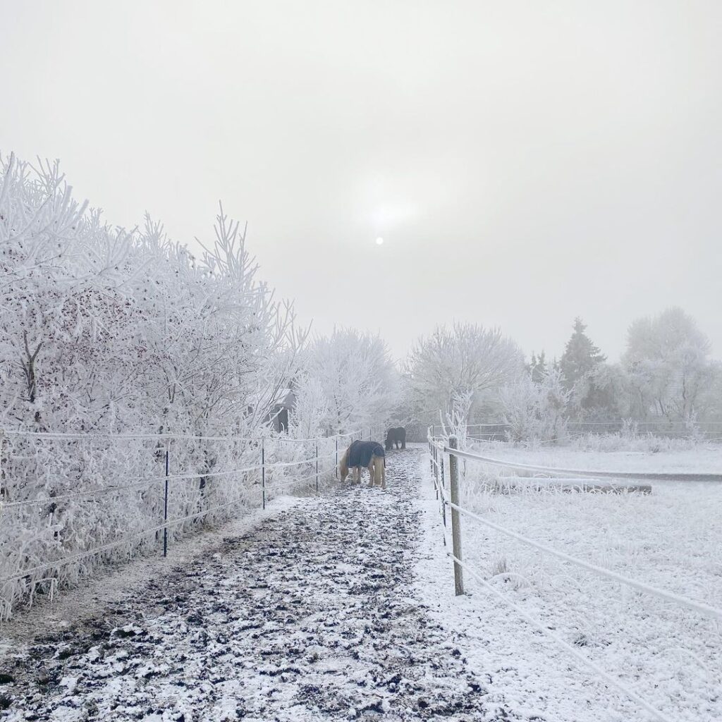 europa gelo polare 18 dicembre 2022