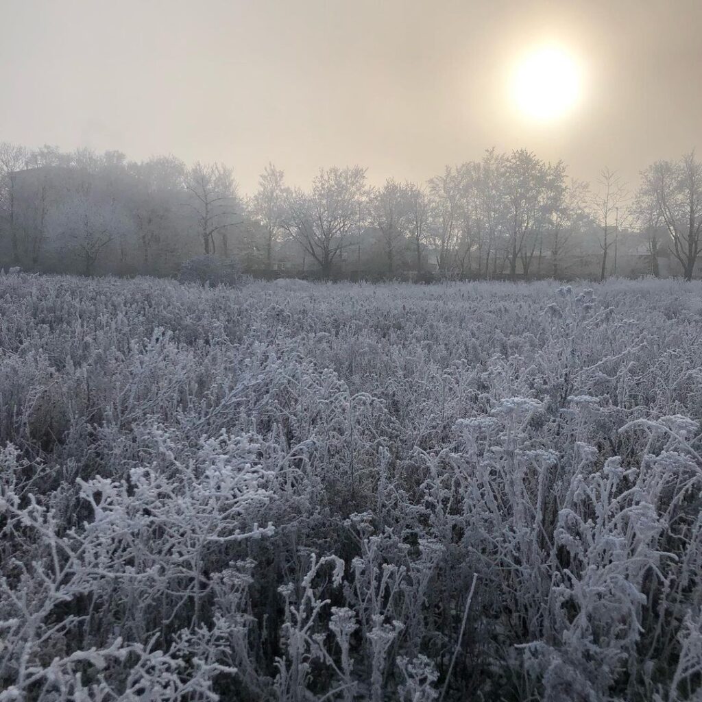 gelo europa 18 dicembre 2022