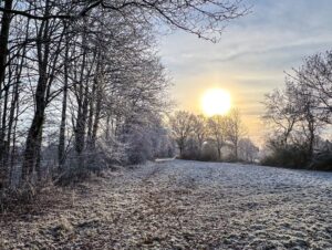 Frost Europe. December 18, 2022