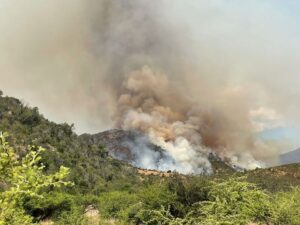 incendi cile