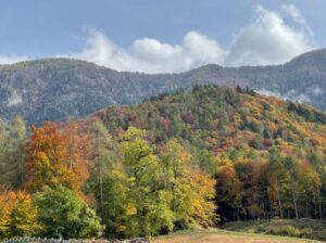 meteo trentino autunno