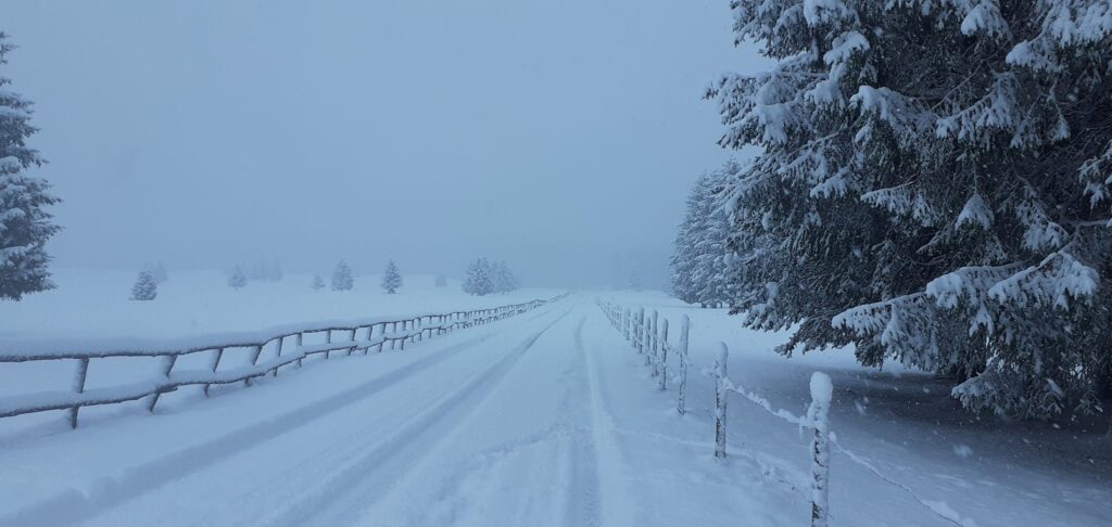 neve Pian del Cansiglio veneto