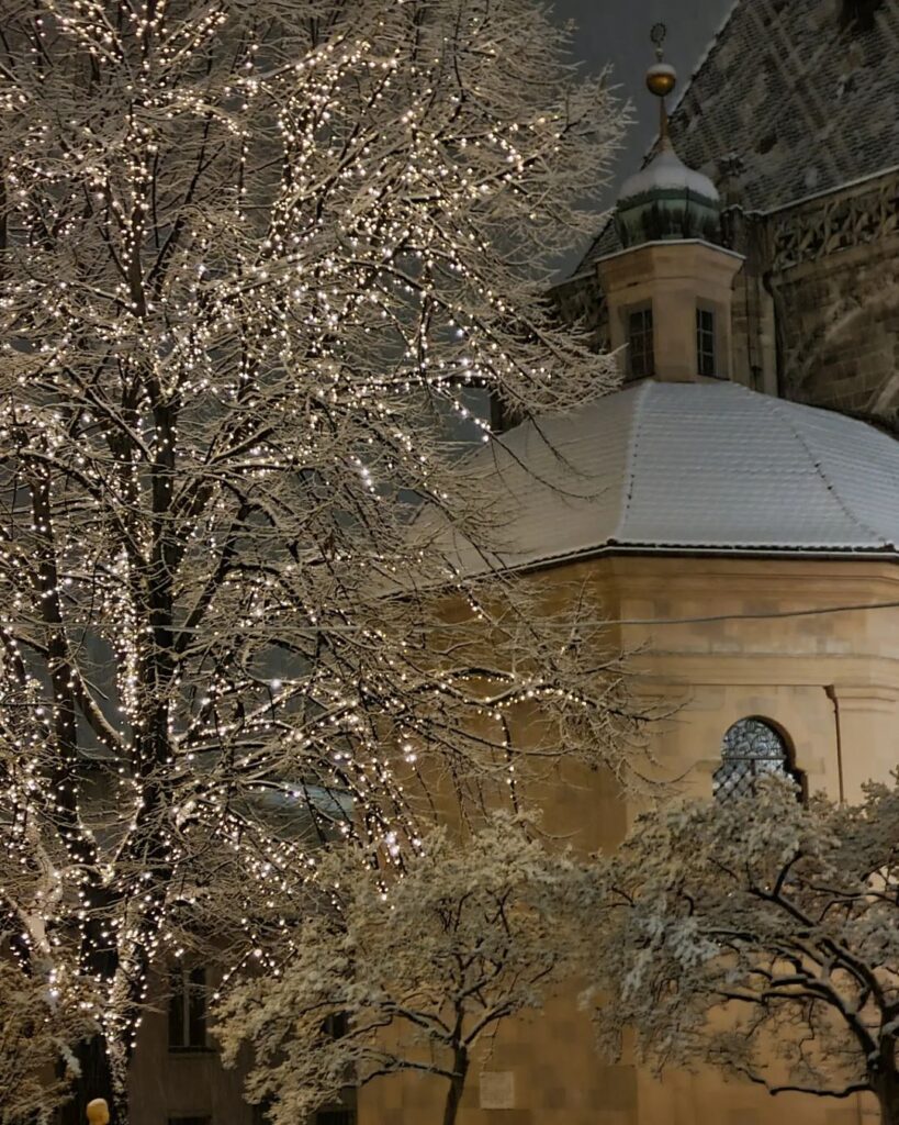 neve bolzano 15 dicembre 2022