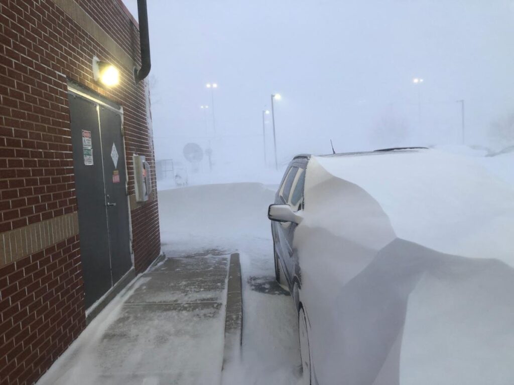 neve buffalo