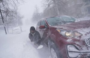 neve Buffalo
