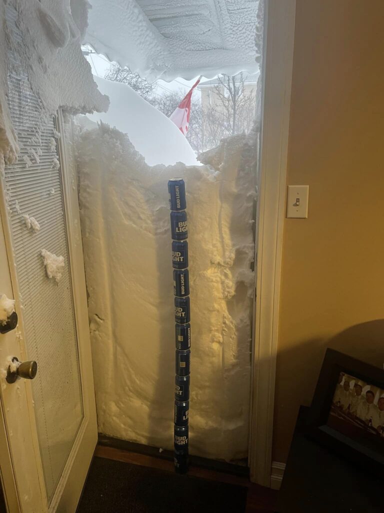 neve buffalo