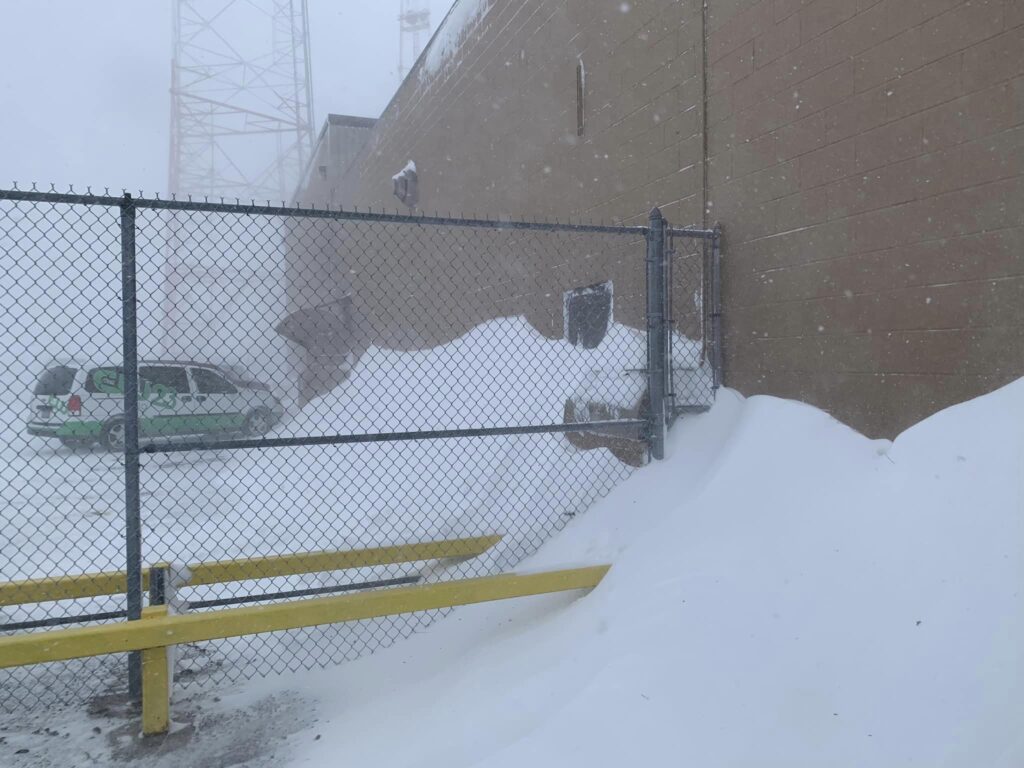 neve buffalo