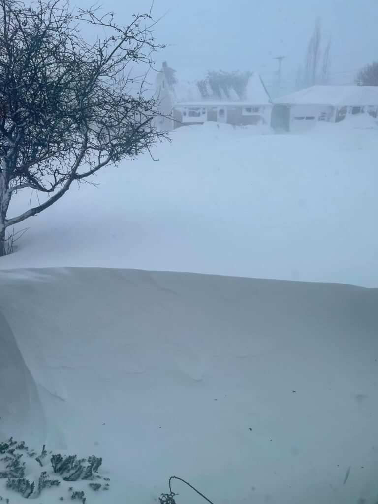 neve buffalo