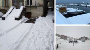 neve francia