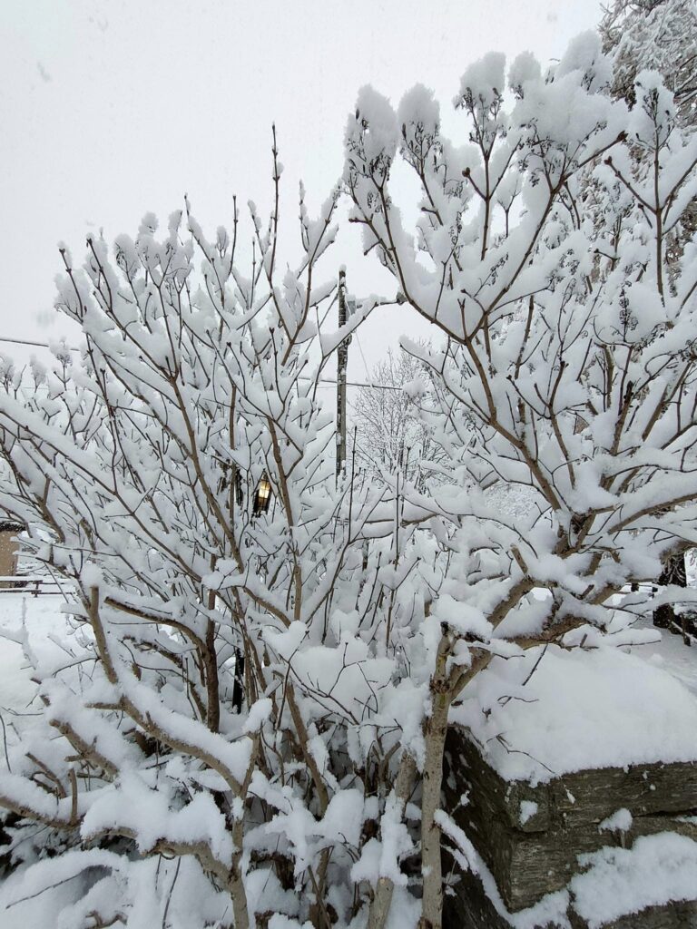 neve macugnaga piemonte