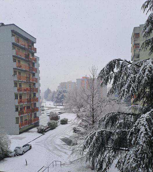 neve sondrio
