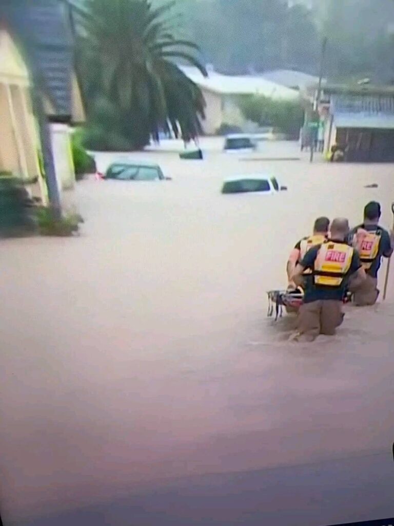 alluvione auckland
