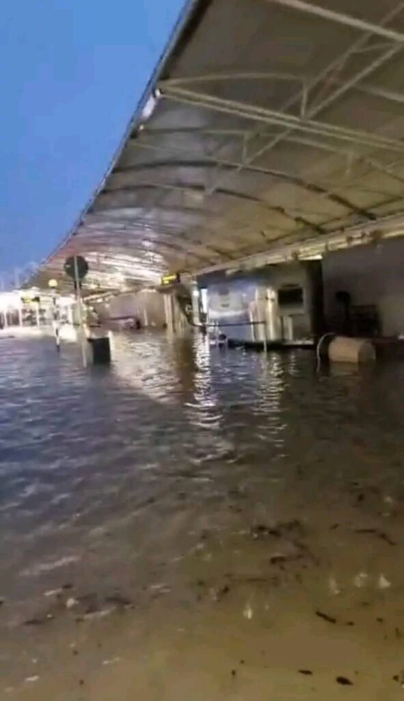 alluvione auckland