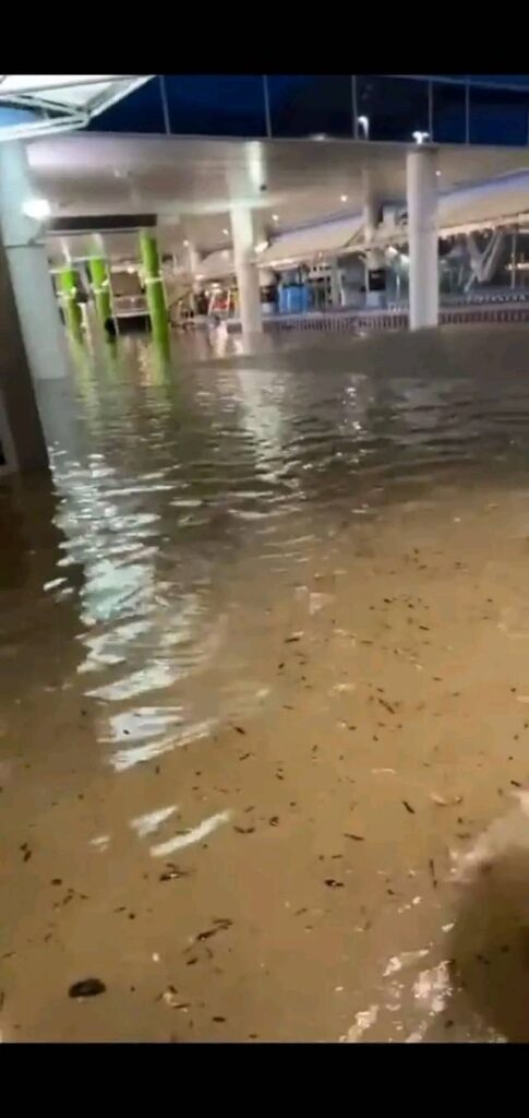 alluvione auckland