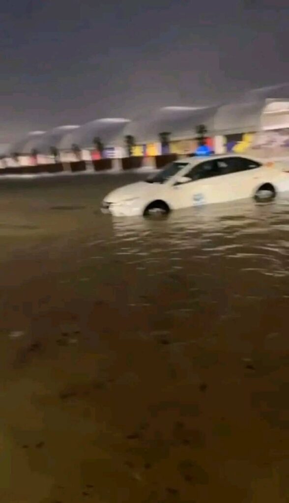 alluvione auckland
