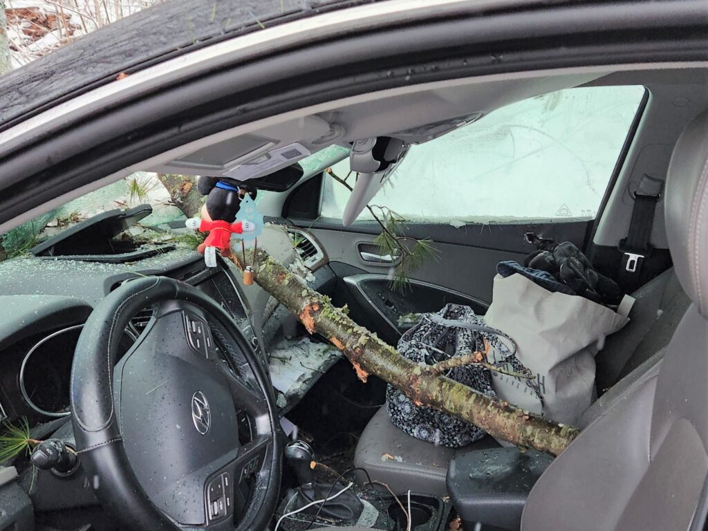 auto infilzata ramo albero new hampshire