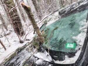 auto infilzata ramo albero new hampshire (1)