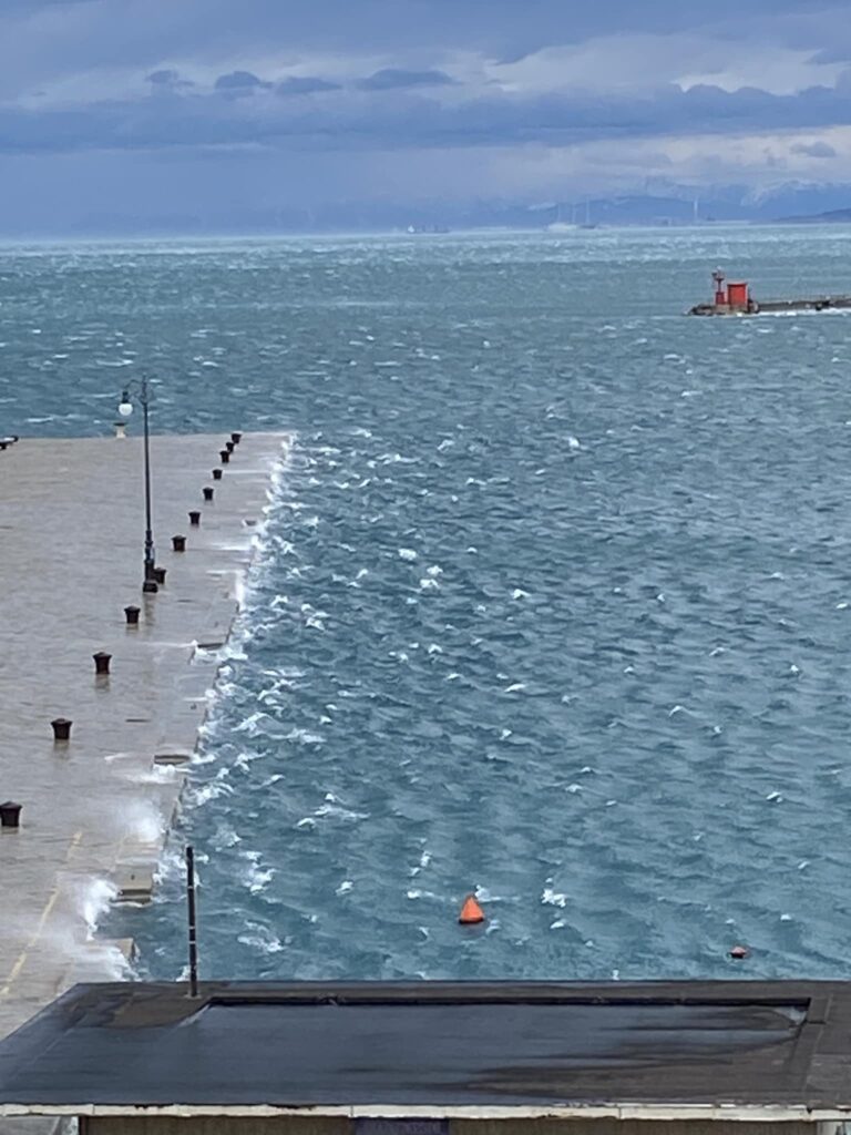 bora trieste