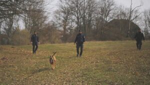 cani tartufo avvelenati