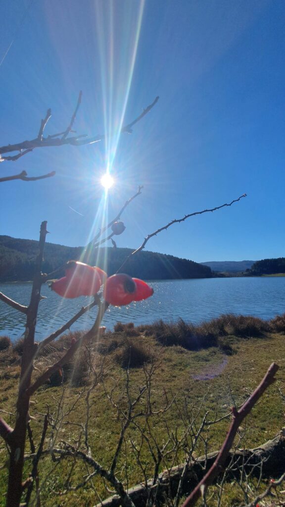 capodanno sila 1 gennaio 2023